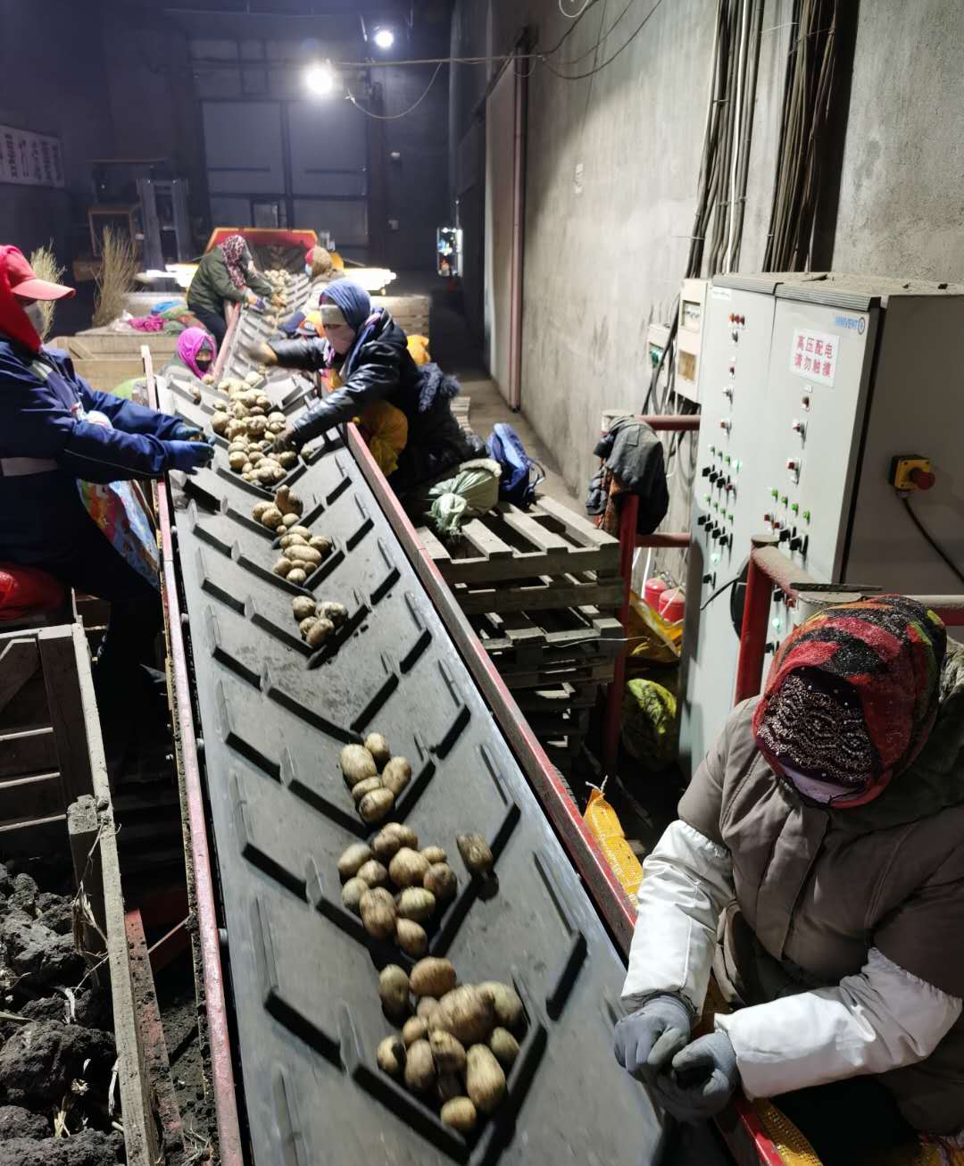 1583559435102359.jpg 可用2.jpg