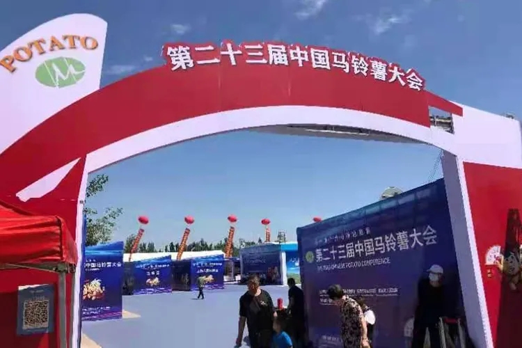 1639198287241721.jpg 05.webp.jpg