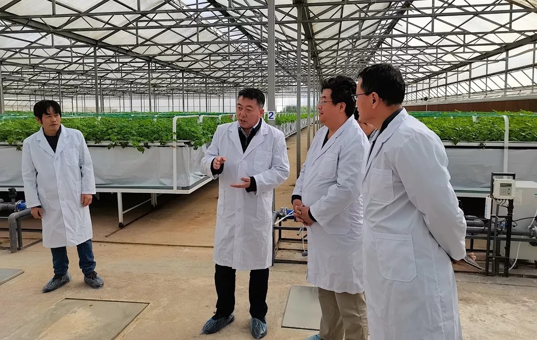 1639202913838375.jpg 01.webp.jpg