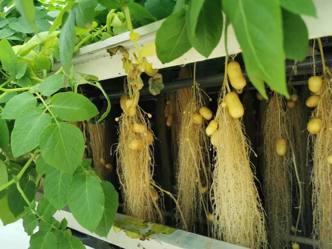 1639202927950811.jpg 640.webp (3).jpg