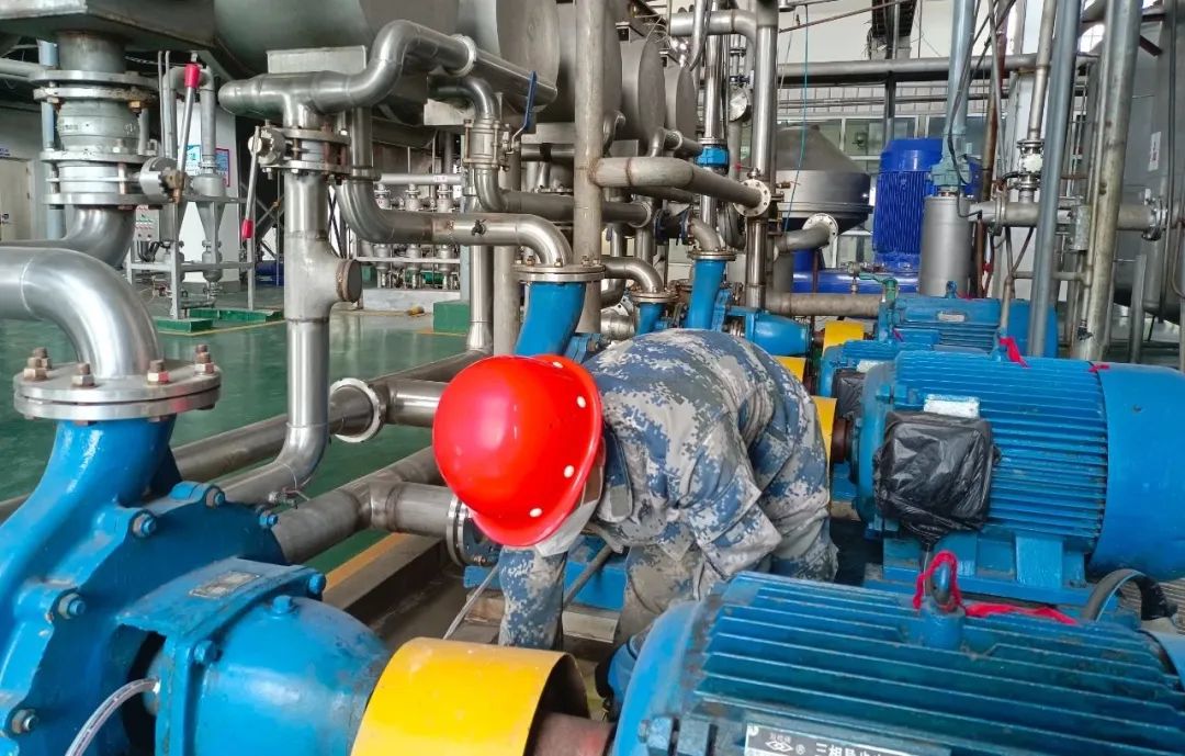 1741520783721305.jpg 640.jpg