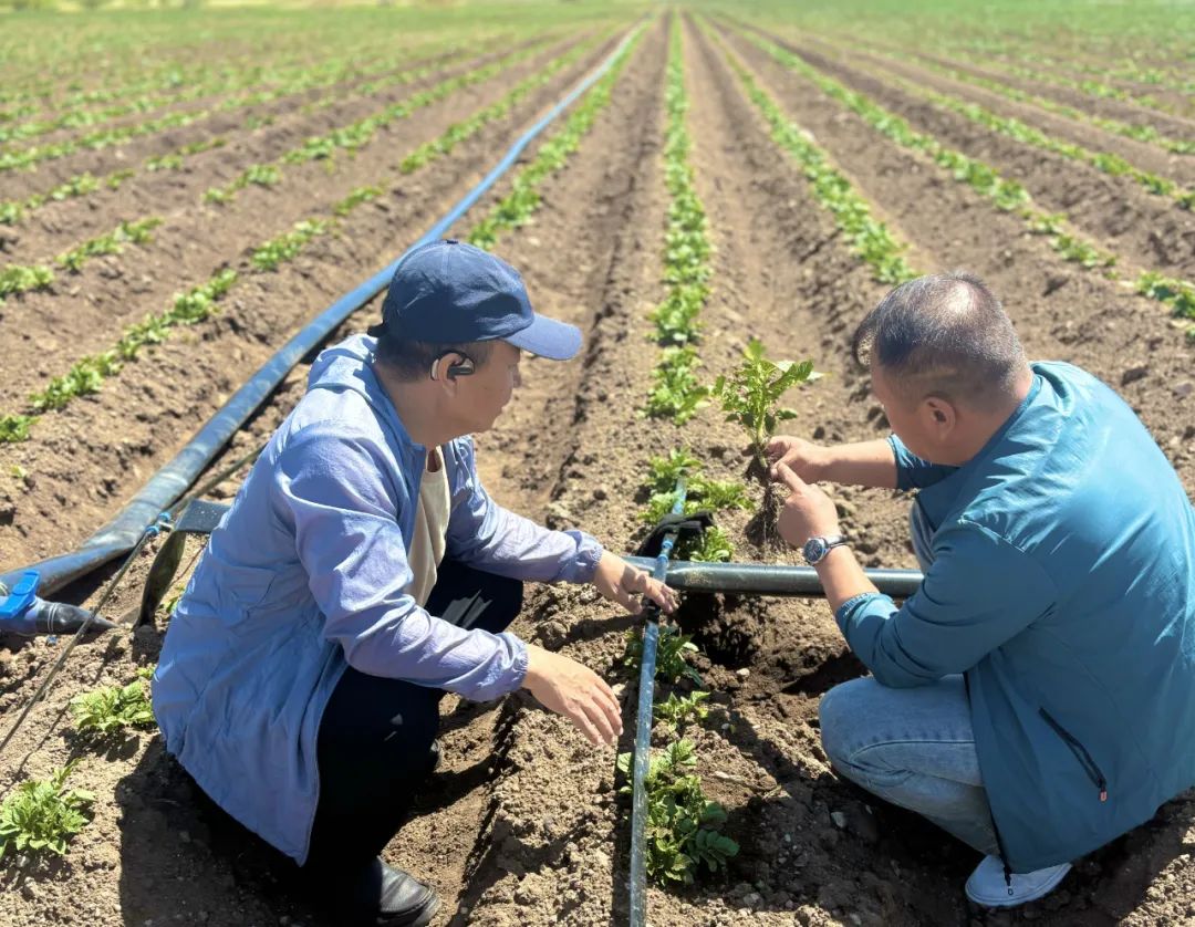 1741521152645891.jpg 640 (1).jpg