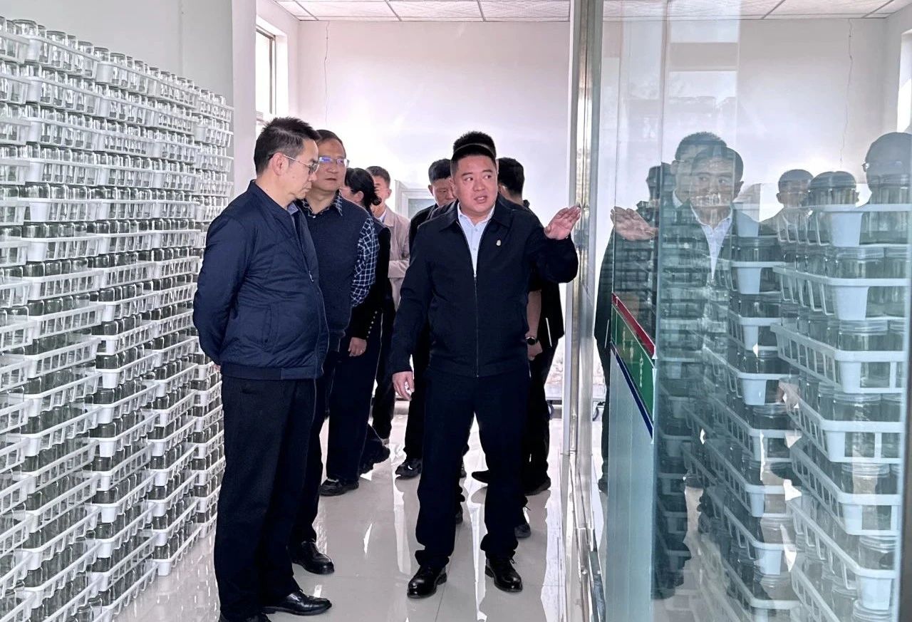 1741527378913021.jpg 微信圖片_20250309213933.jpg